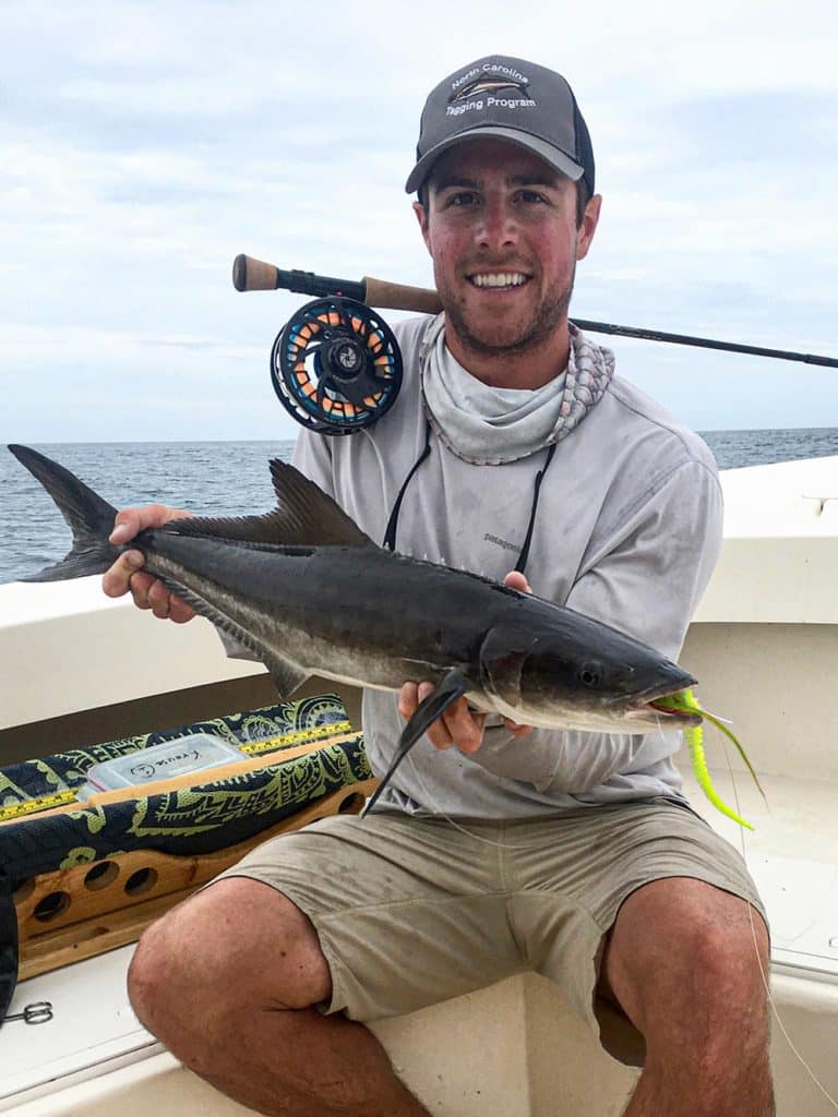 Smaller cobia caught offshore