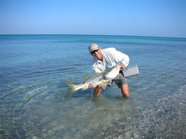 24 lb. snook.jpg