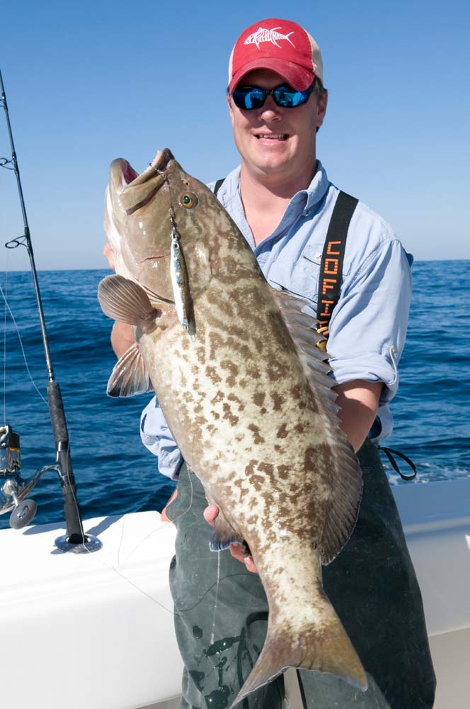 grouper off Louisiana