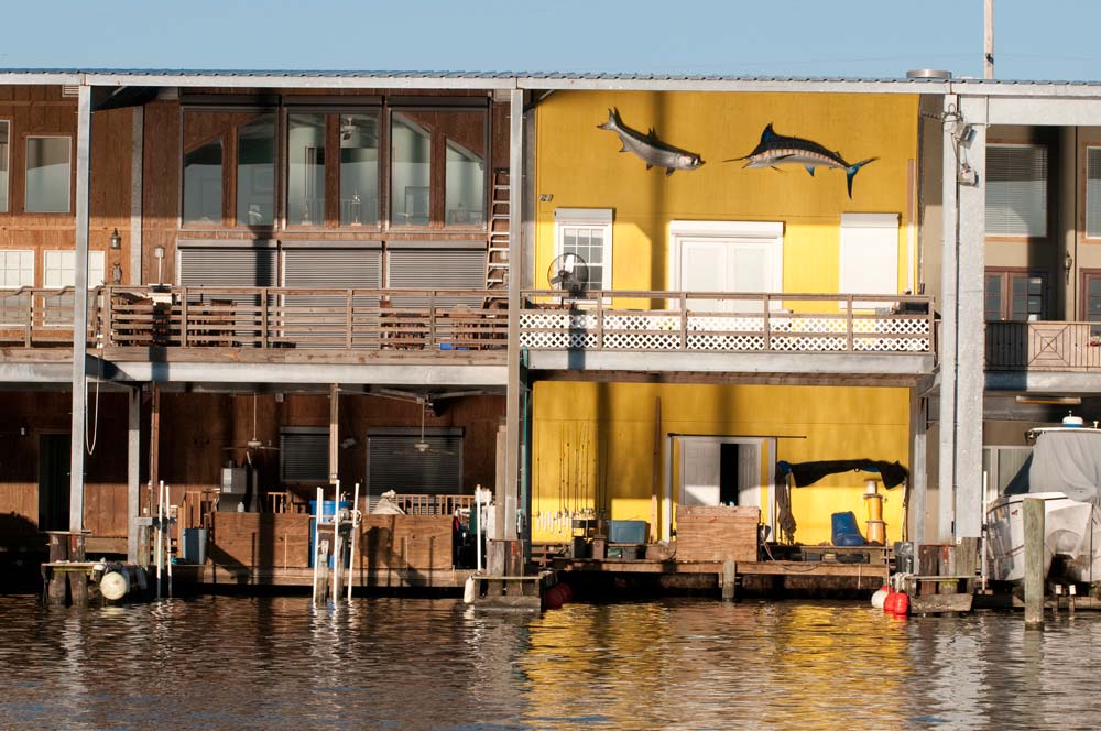 Venice, Louisiana fishing