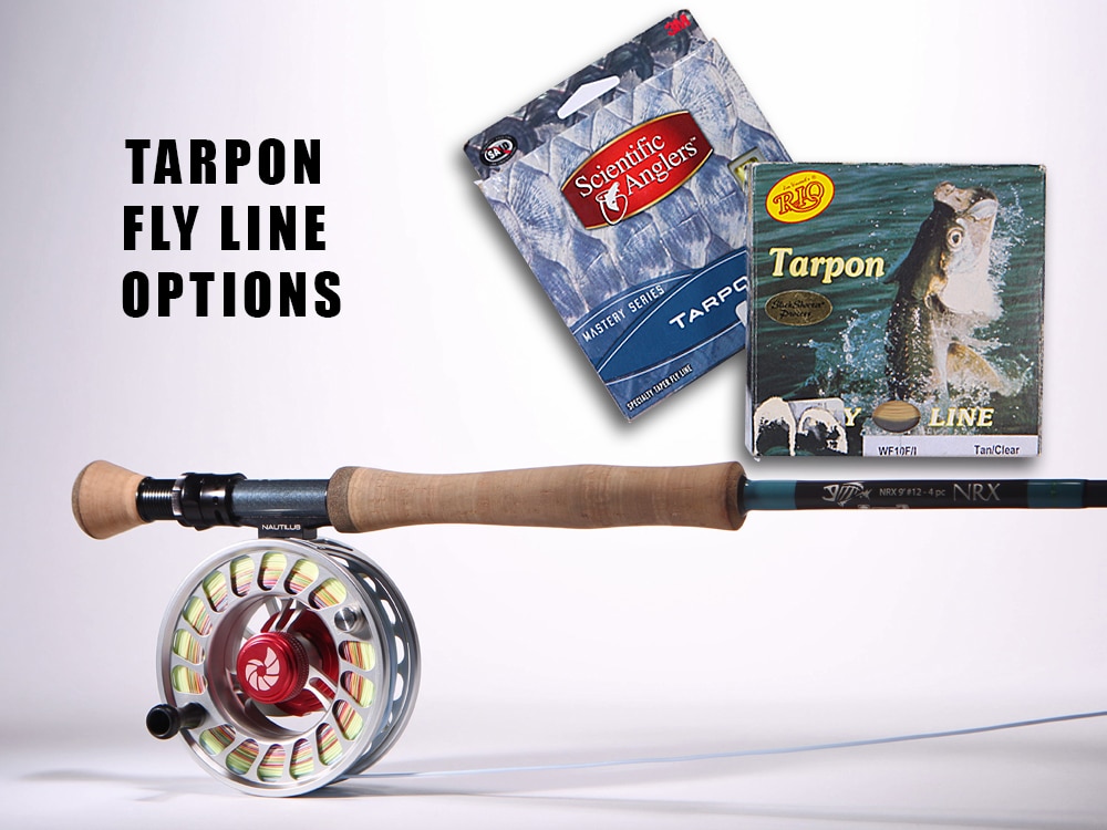 Quest for Tarpon on Fly - Fly LInes