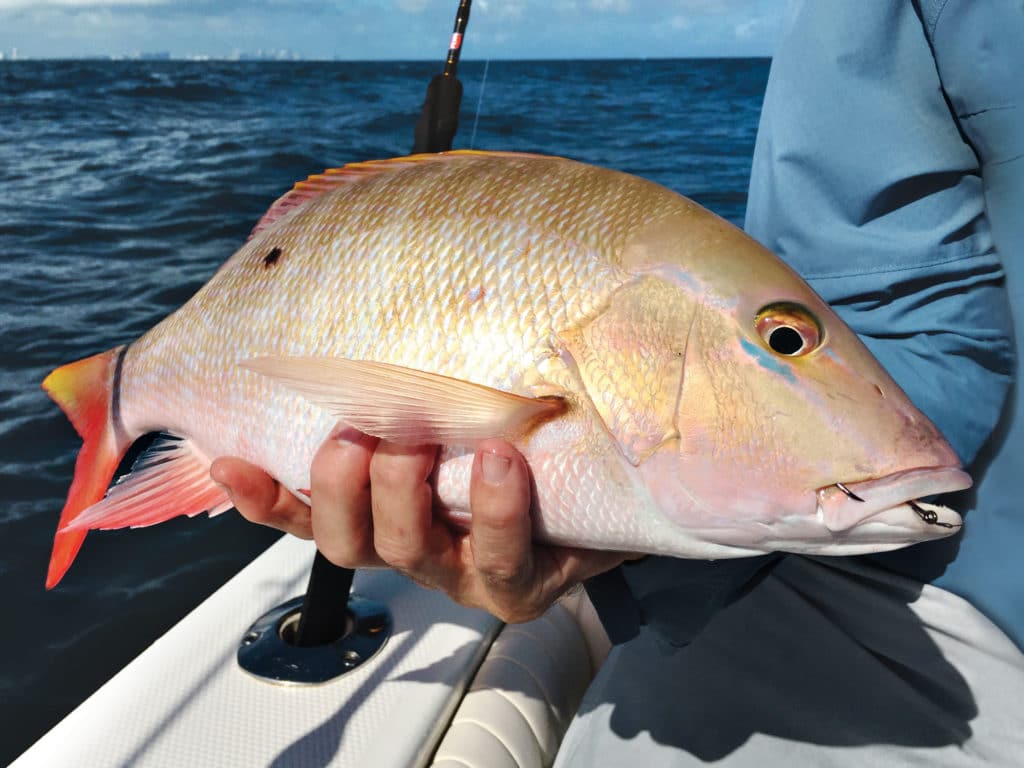 mutton snapper fishing
