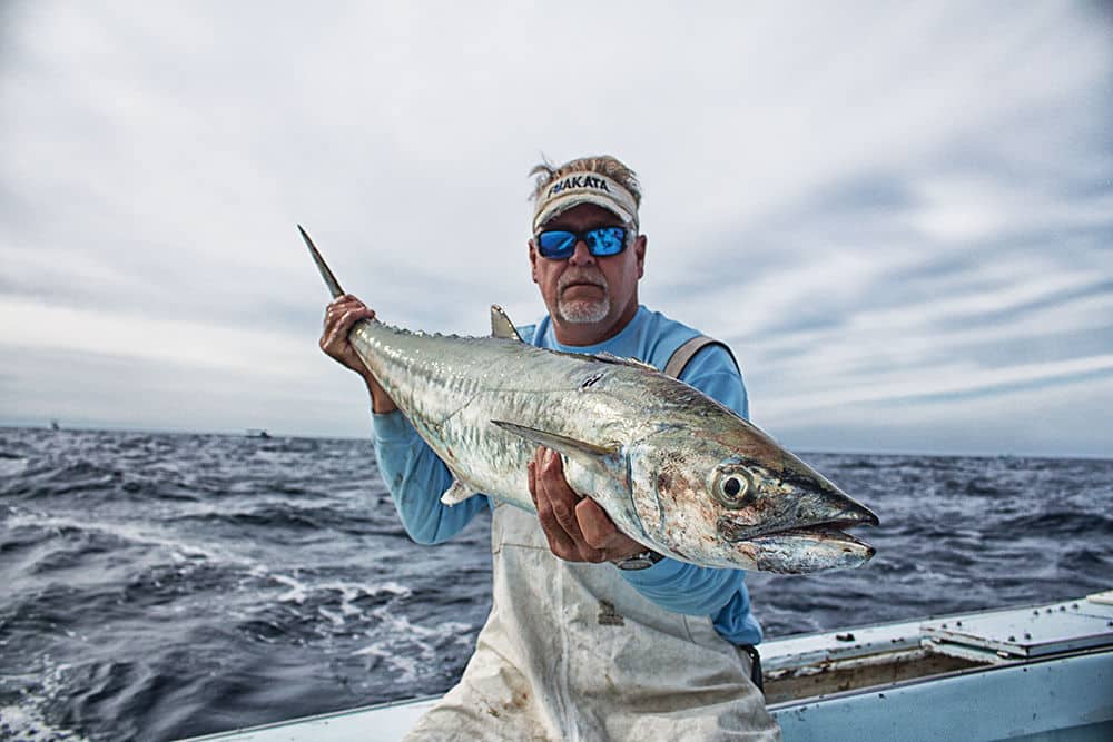 Large kingfish spend fall and winter in North Carolina waters.