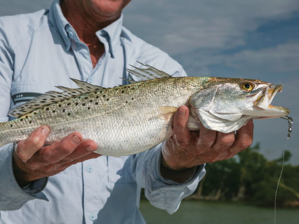 Key Largo offers variety and abundance