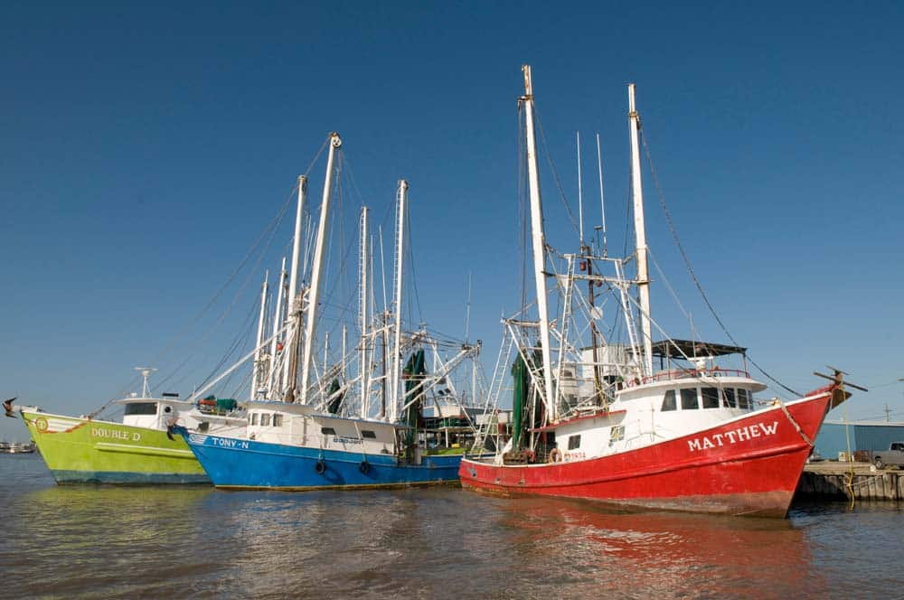 shrimp boats in Venice