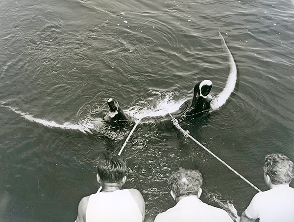 Rare Historical IGFA Fishing Photos - 23