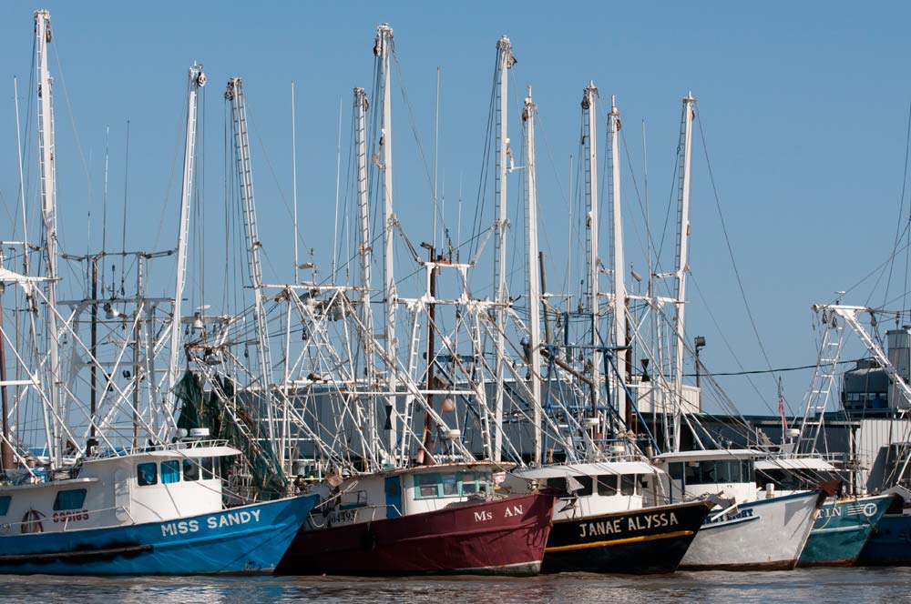 shrimp boats in Venice