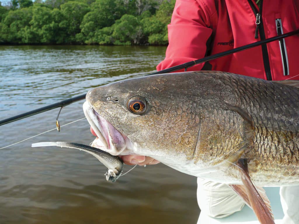 Jerkbaits that imitate baitfish entice redfish to bite