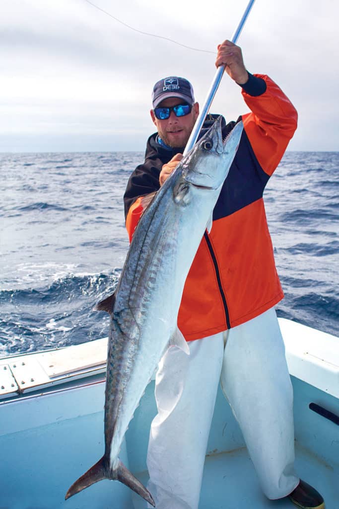 When you gaff a kingfish, be sure everyone stays clear of the fish's sharp teeth.
