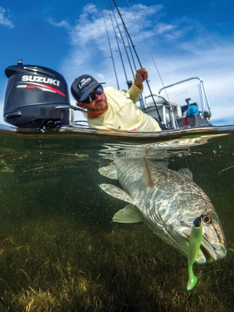 A jig-and-paddle-tail combo used to target redfish