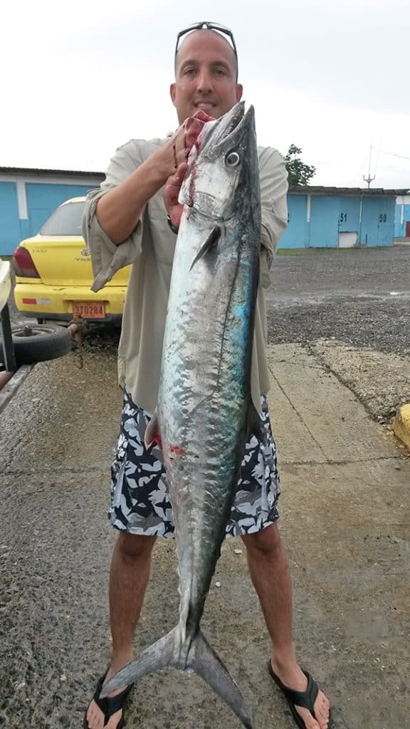 Kingfish