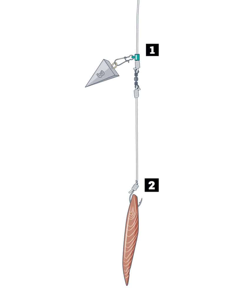 flounder north south tactics flatfish how-to