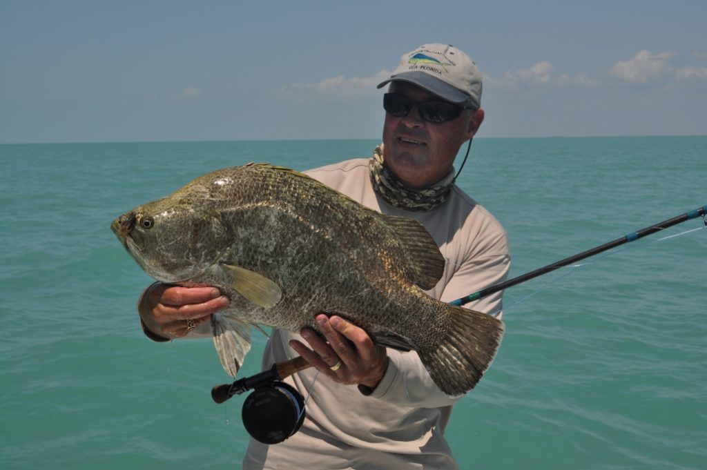 tripletail fishing