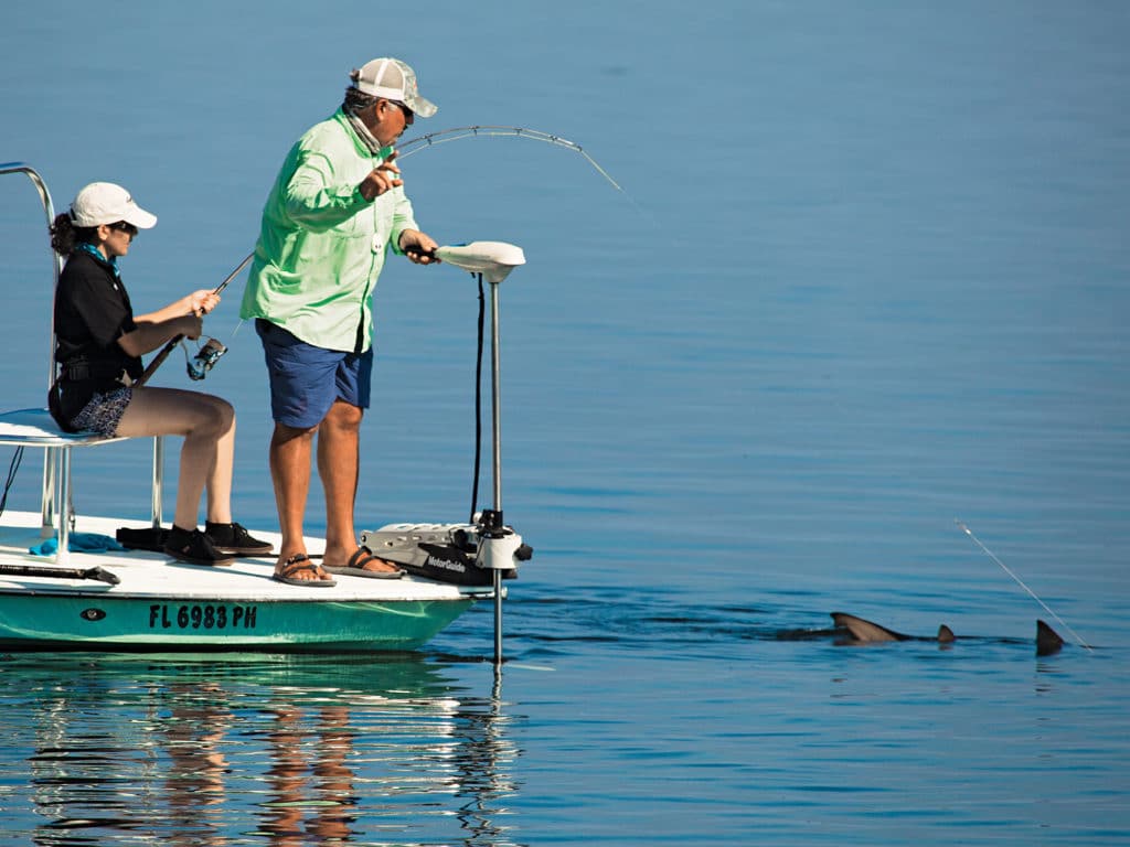 flats fishing, Florida Keys,shark fishing