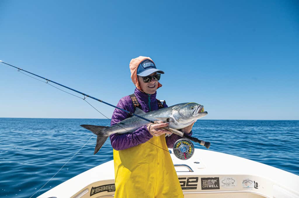 Bluefish caught on fly tackle