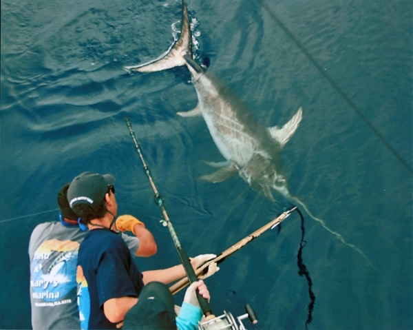 Daytime Swordfishing  Salt Water Sportsman