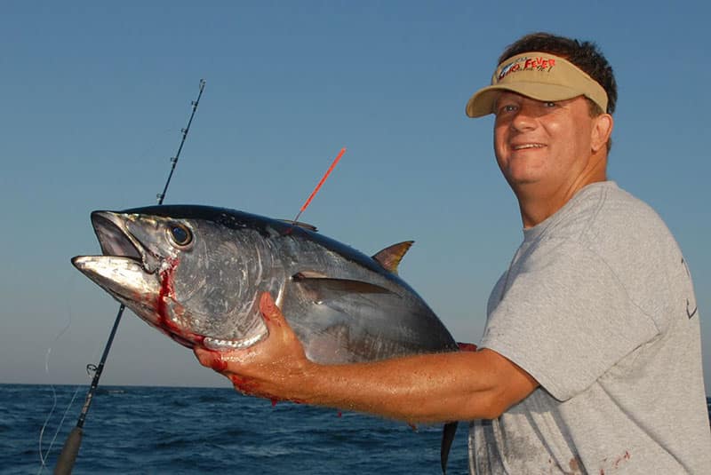 Northeast tuna
