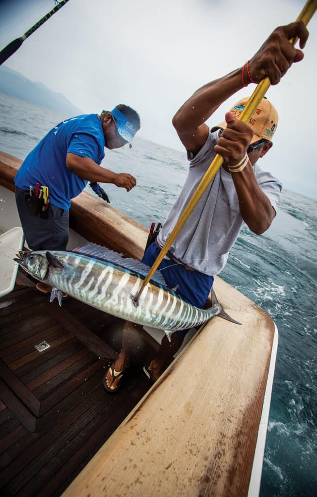 Nice wahoo caught along Little Bahama Bank