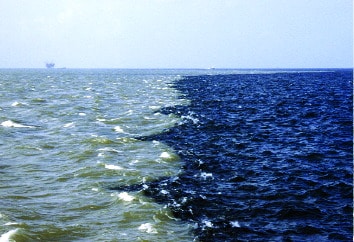 dead zone gulf