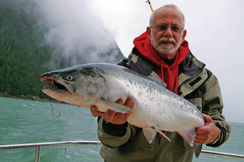 Silver salmon caught trolling