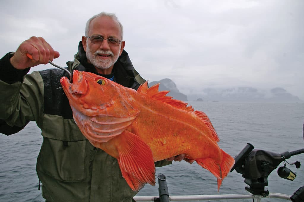 Hefty yelloweye rockfish caught in Alaska