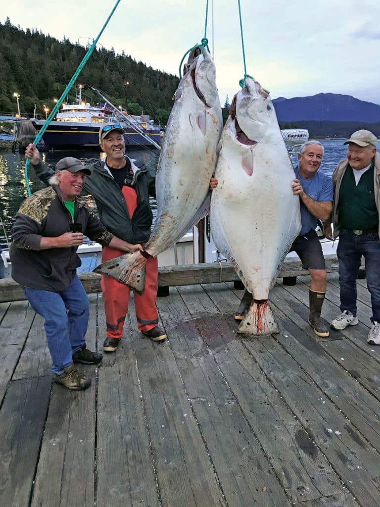 Large halibut caught in Alaska