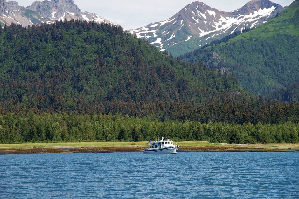 Tug boat fishing alone