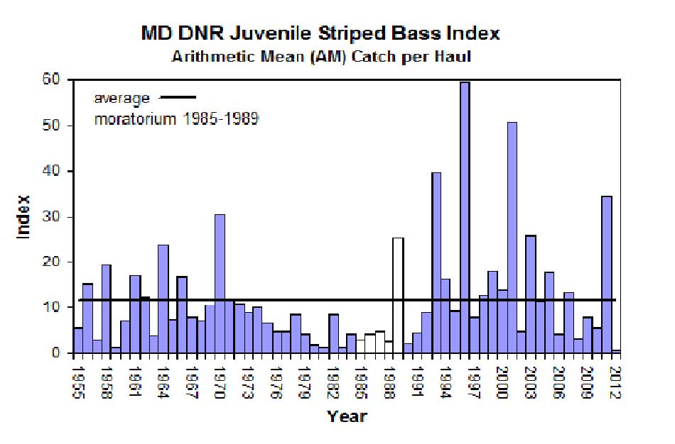 Striped Bass Index