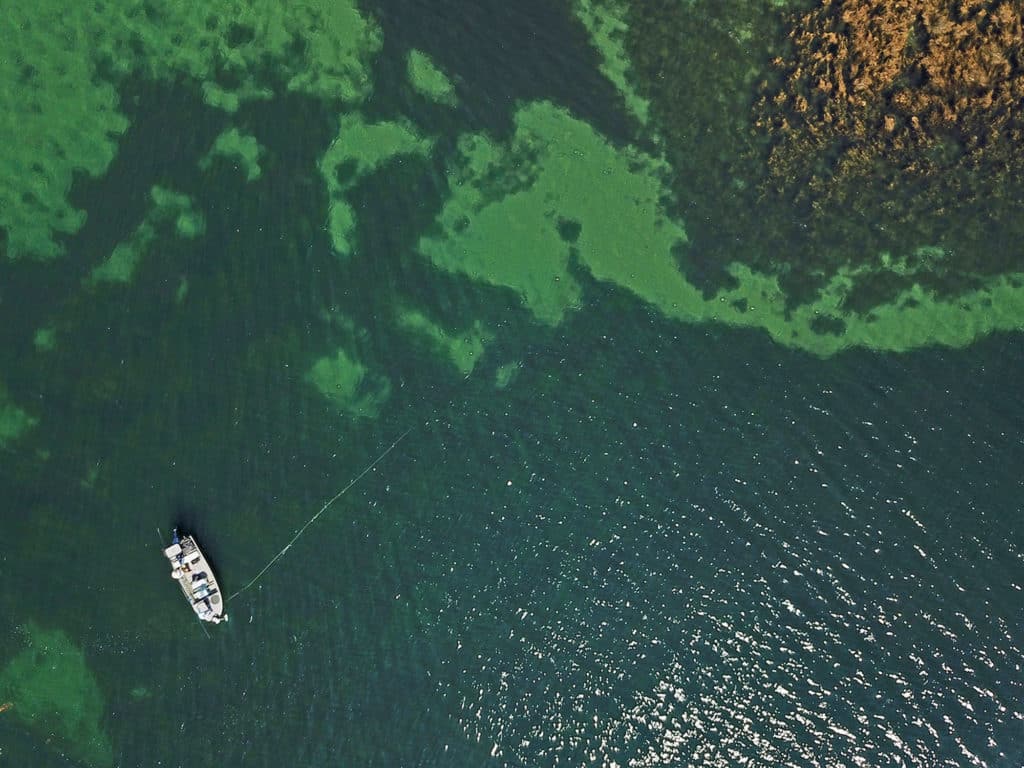 Overhead shot of fly fisherman