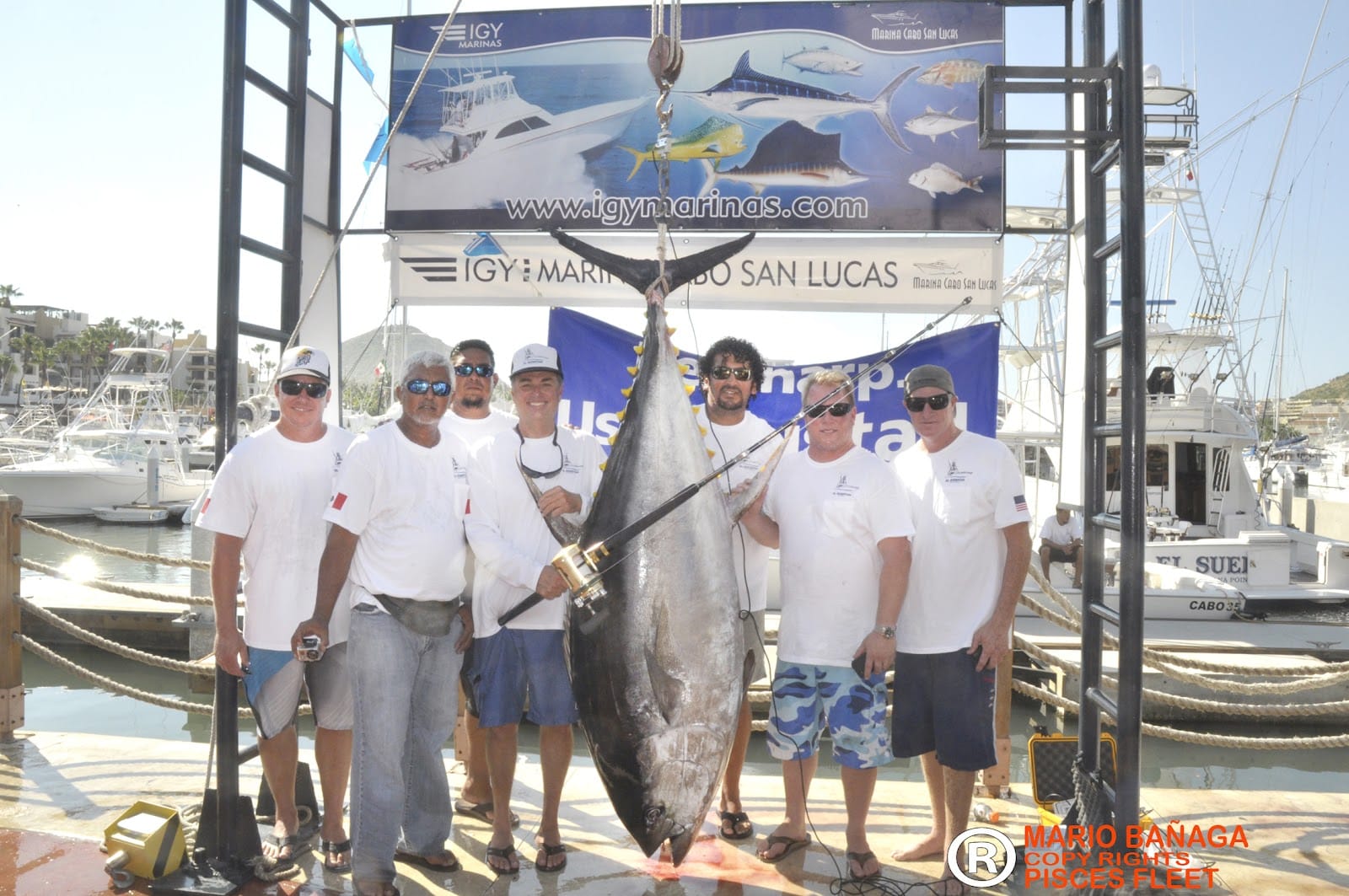 Potential World-Record Yellowfin Caught in Cabo
