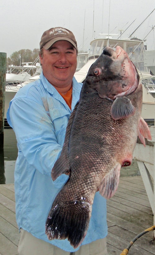 Record Tautog