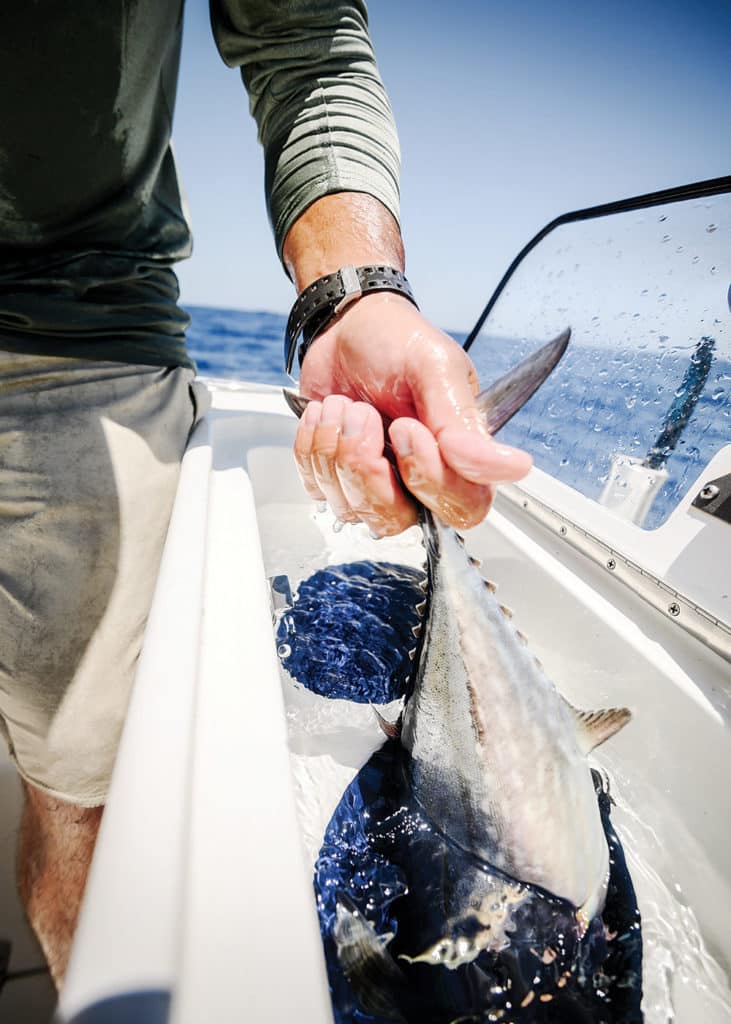 Tuna tube keeping bait fresh