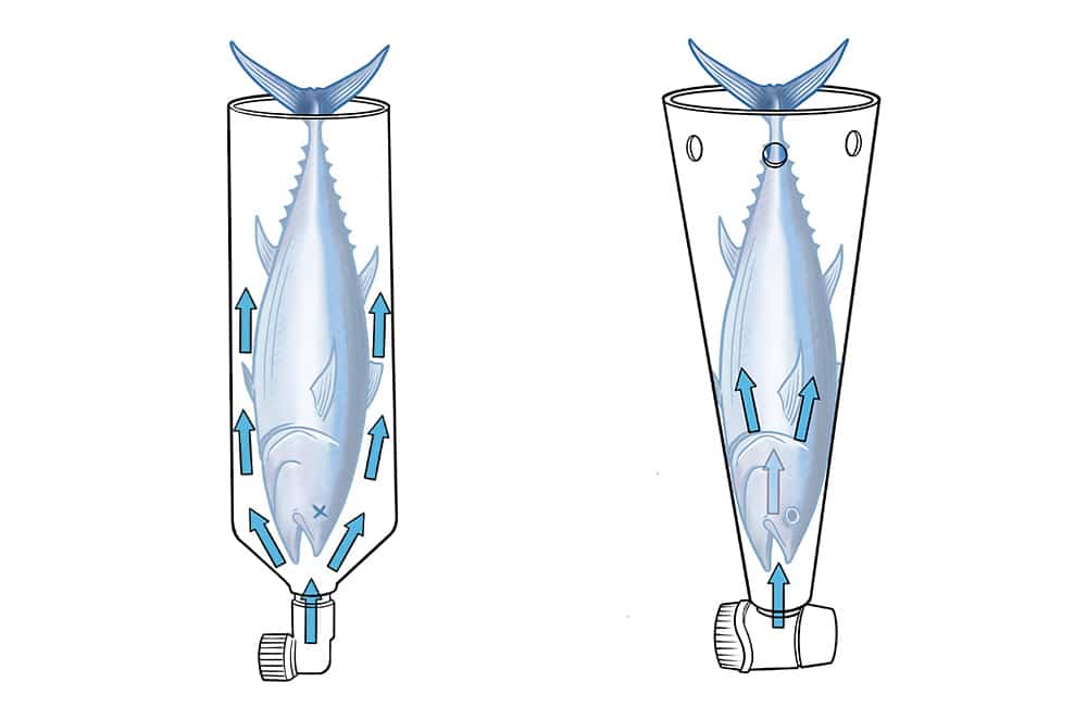 How to Use Tuna Tubes