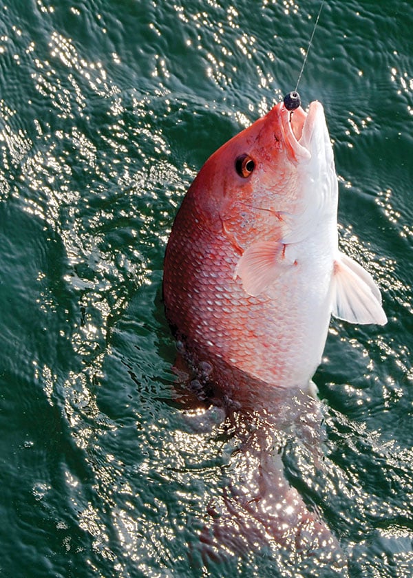 How to Catch Red Snapper on Alabama's Gulf Coast
