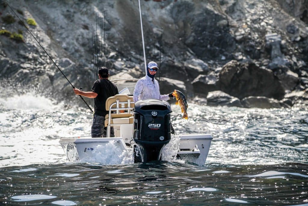 Catching calico bass in Southern California