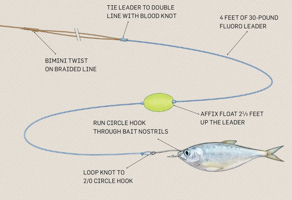 Adjustable-float bait rig