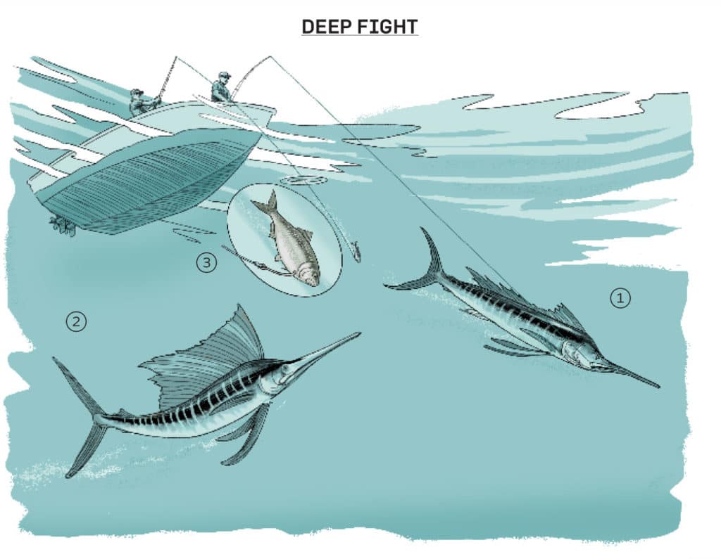 Targeting companion fish in the deep