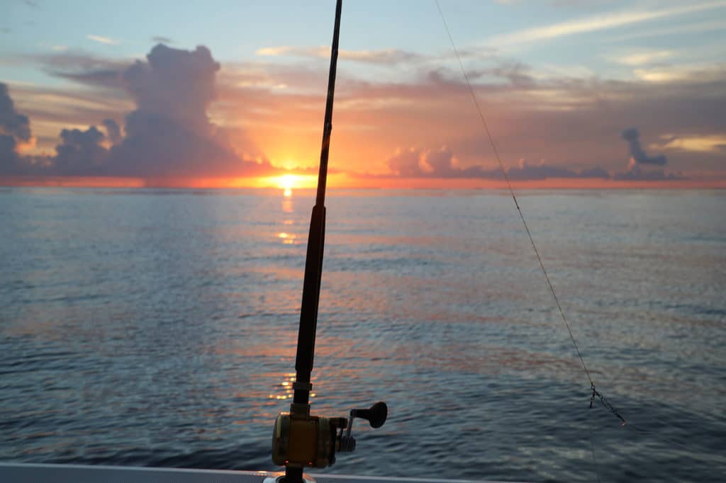 Fishing at sunset