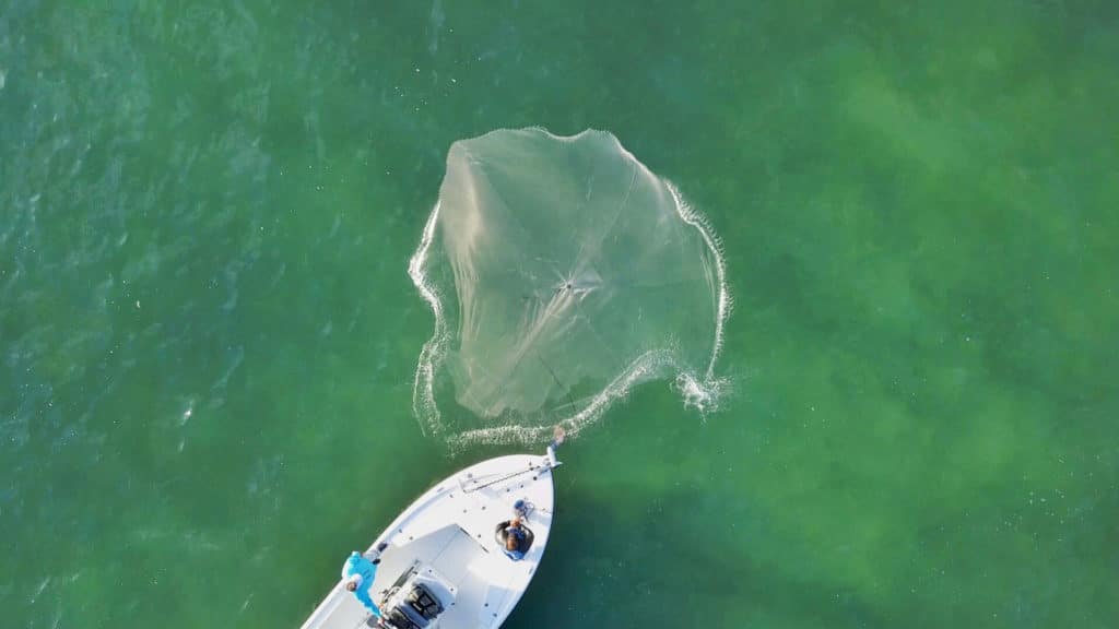 Throwing a castnet for baitfish