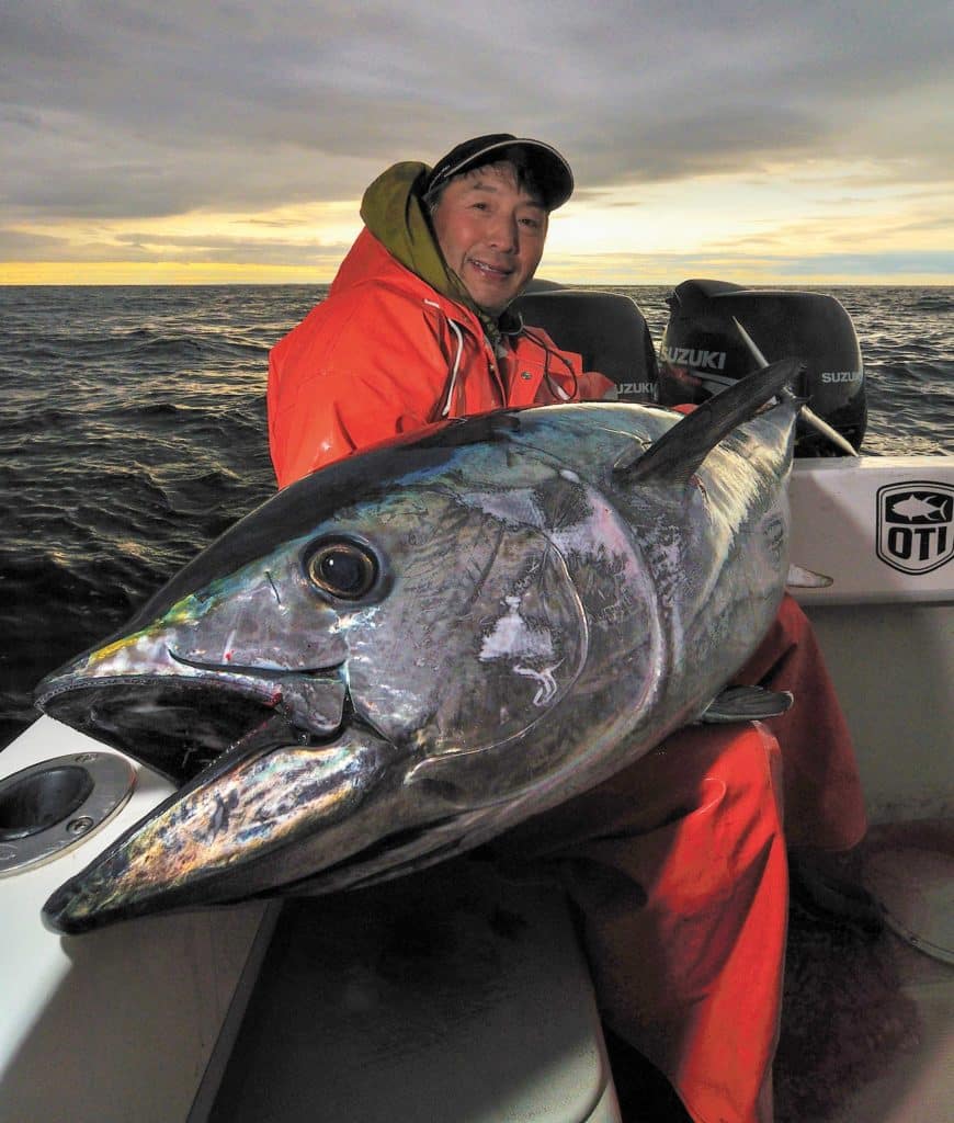 Bluefin tuna caught using spreader bars