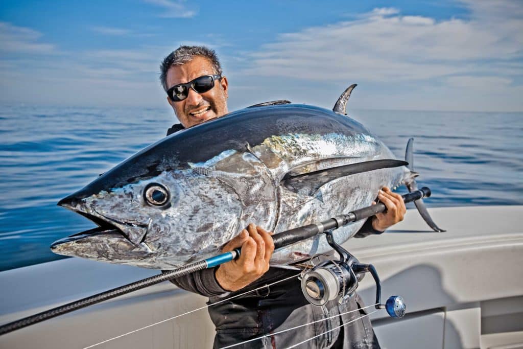 Bluefin caught using spinning tackle