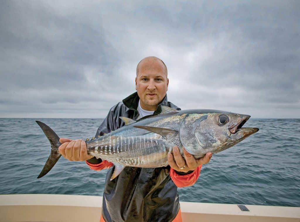 Juvenile bluefin caught using Side Tracker bars