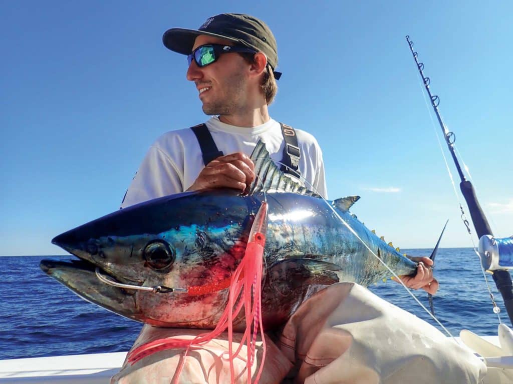 Nice bluefin caught on trailing stinger