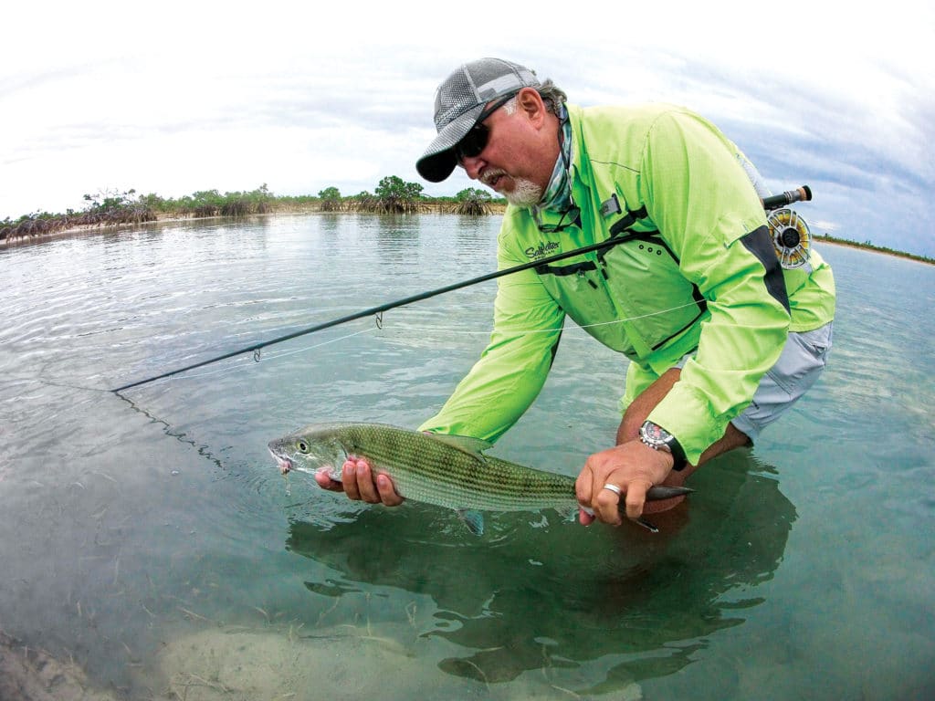 Fish caught on fly tackle