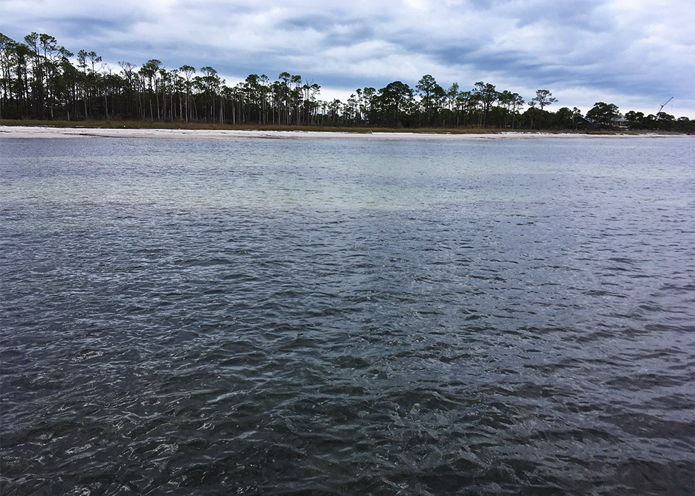 Dark patches of sea grass