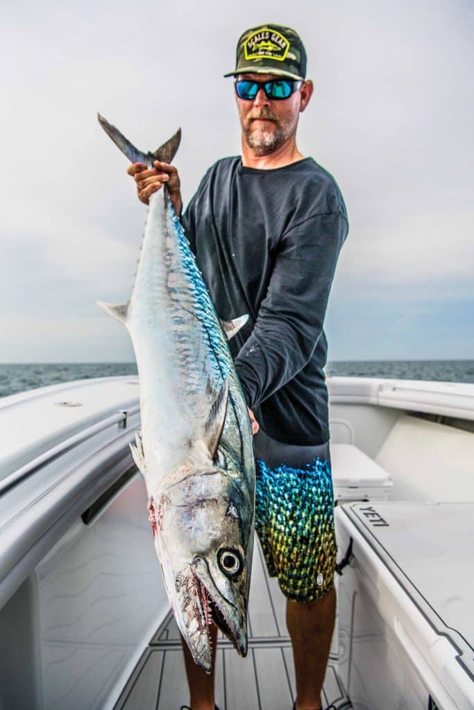 King mackerel caught on a wreck