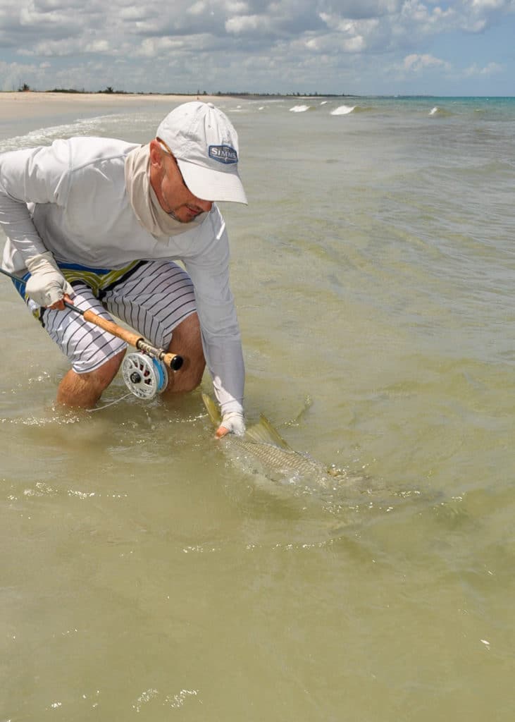 Inshore snook