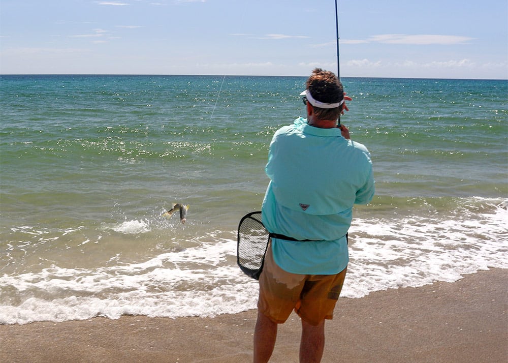 Small snook caught on the beach