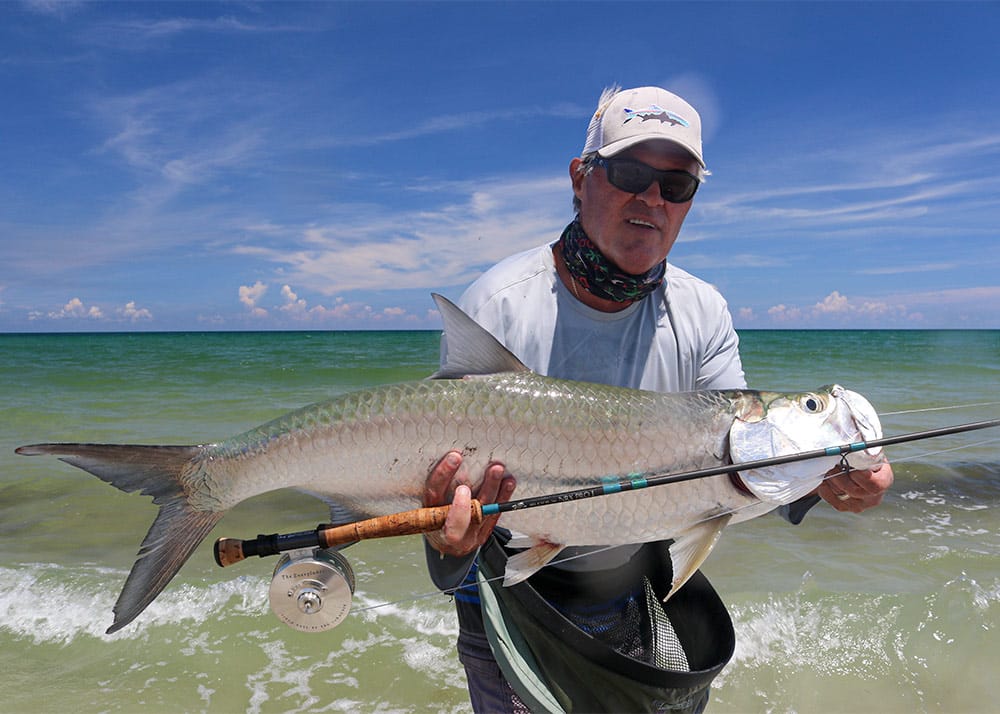 Large tarpon on the beach