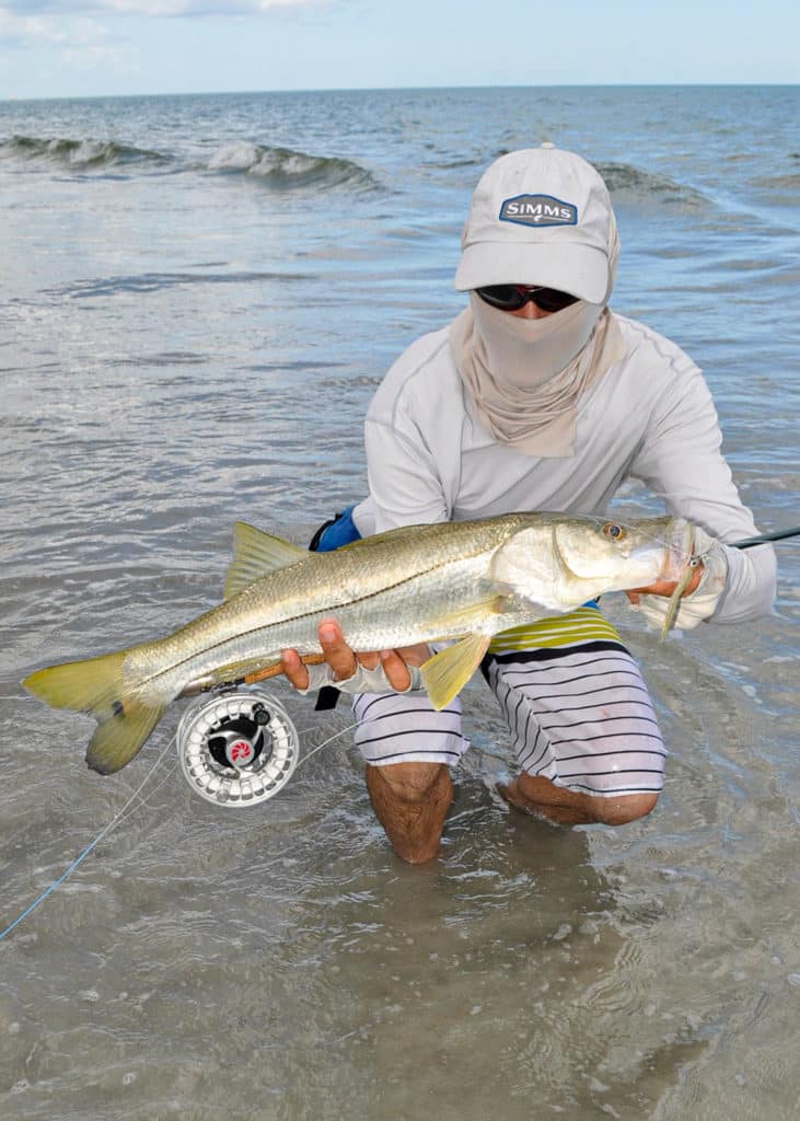 Large snook in clear water